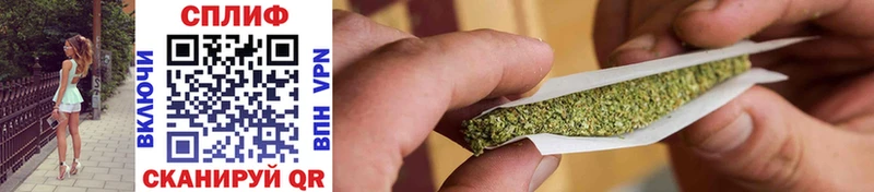 Купить где Новоалтайск Бошки марихуана White Widow